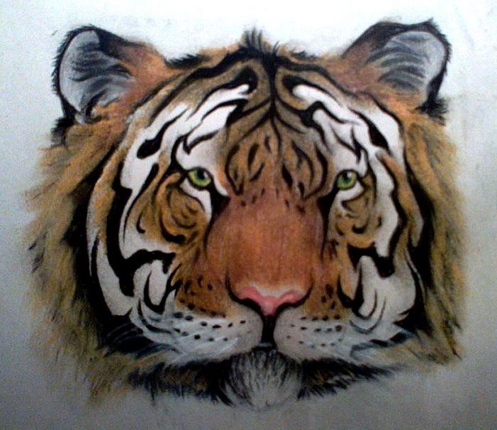 Drawings by Benjamin Schwartz