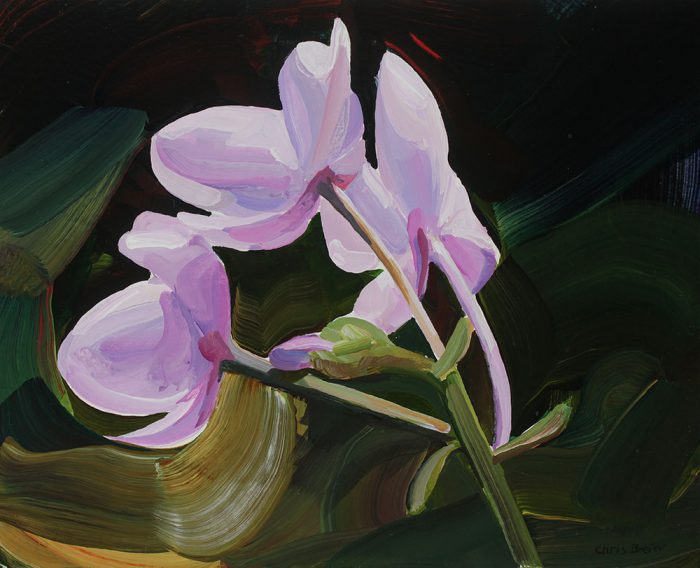 Acrylic and watercolor paintings by Chris Breier