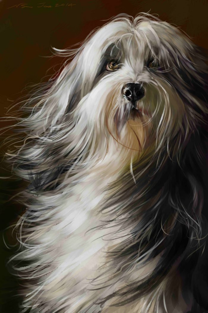 Digital Art by Norman Soo